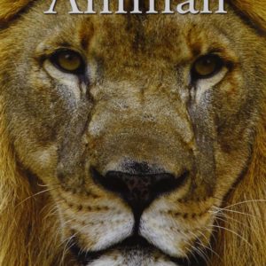 Animali - Idealibri 2013 - A cura di David Alderton - Perugia Fumetti - Copertina