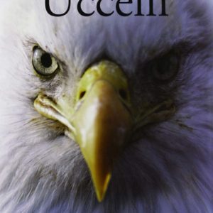 Uccelli - Idealibri 2013 - A cura di Per Christiansen - Perugia Fumetti - Copertina