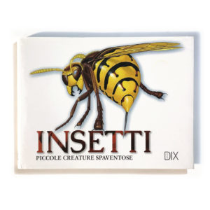 Insetti - Piccole creature spaventose